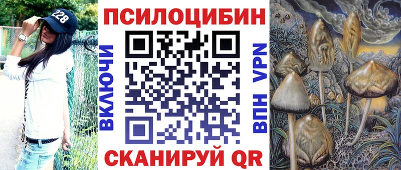 Галлюциногенные грибы Cubensis  Купить  Верея 